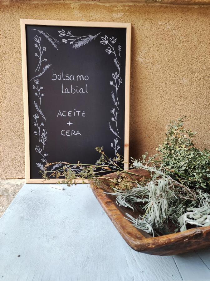 Appartement Guara Viva *